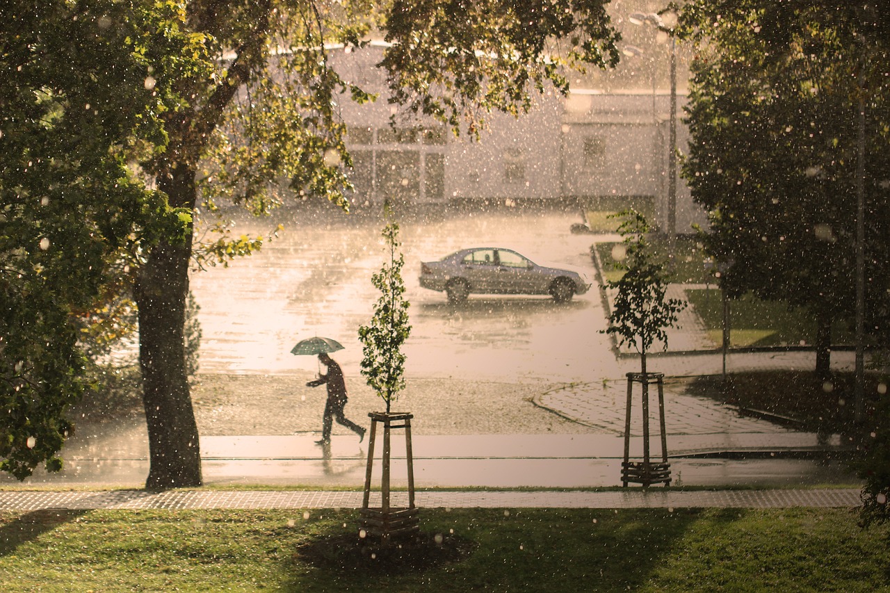 Det regnar. En gräsmatta och träd i förgrunden. En parkeringsplats syns i mitten av bilden. Där står en bil. En människa med paraply är ute och går.