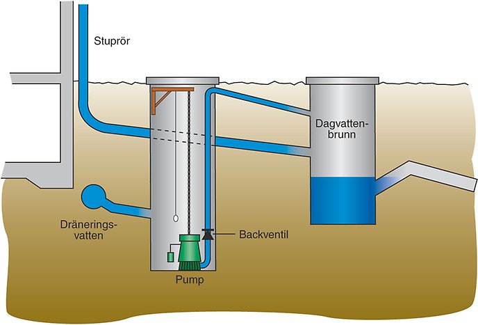Illustration över hur vattnet går via stupröret ner till en pump och vidare till en dagvattenbrunn. Bilden visar också vart backventilen ska sitta, nära pumpen. 